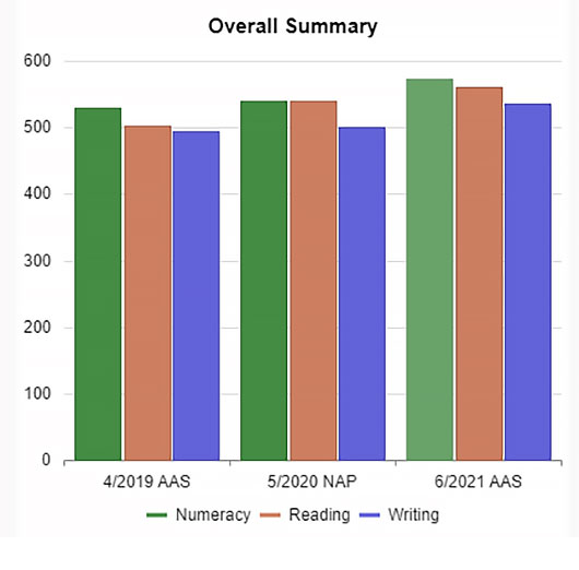 Summary for numeracy, reading and writing
